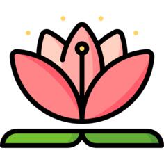 莲花