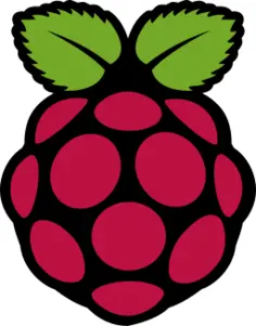 https://cdn.svgporn.com/logos/raspberry-pi.svg