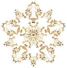 Golden floral star vector image