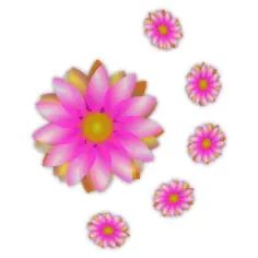 Flowers graphic vector