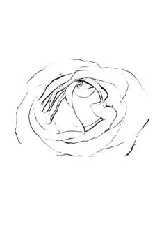 Rose black & white