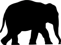 Black elephant vector image