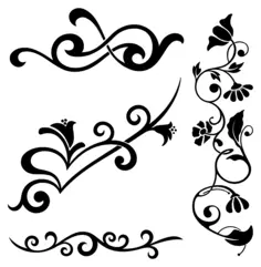 Different flowery borders