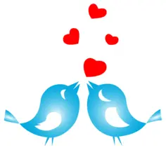 Colored love birds