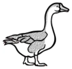 Coloring book goose