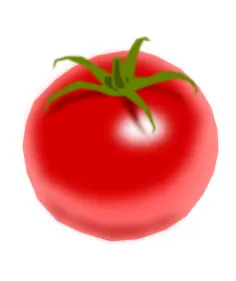 Tomato