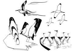 Vector drawing of scene of many birds flying in black and white
