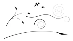 Vector image of selection of plant flourishes