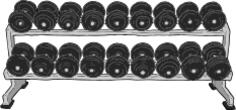 Dumbell rack color vector drawing