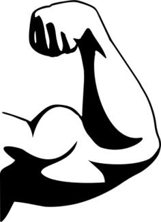 Muscular biceps vector clip art