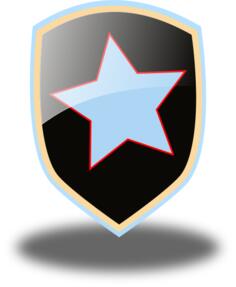 Decorated shield vector illustration