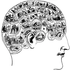 Phrenology icon vector drawing