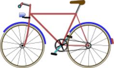 Color bicycle vector image