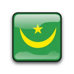 Mauritania flag vector