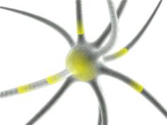 Firing neuron vector clip art