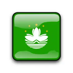 Macau flag vector