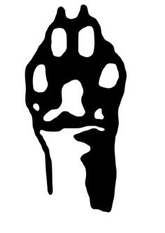 Paw vector image