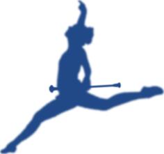 Baton twirler silhouette vector image