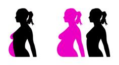 Pregnancy silhouette vector