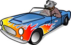 Dog in sports car vector image