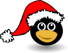 Funny Penguin face with Santa Claus hat