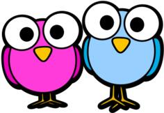 Owls with big eyes cartoon style