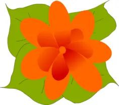 Flower vector illustration
