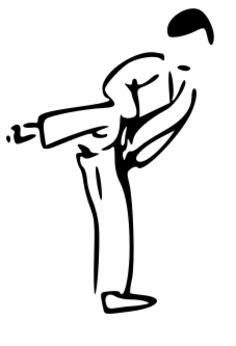 Karate silhouette vector