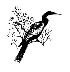 Black and white bird vector