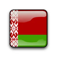 Belarus flag vector