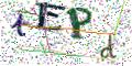图形验证