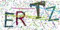 图形验证