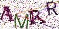 图形验证