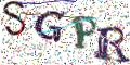 图形验证