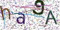 图形验证