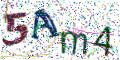图形验证