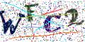 图形验证