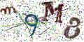 图形验证