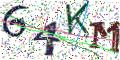 图形验证