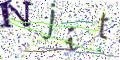 图形验证