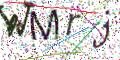 图形验证