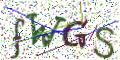 图形验证