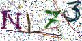 图形验证