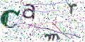 图形验证