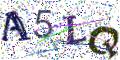 图形验证