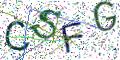 图形验证