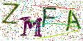 图形验证