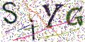 图形验证