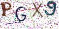 图形验证