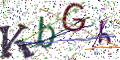 图形验证